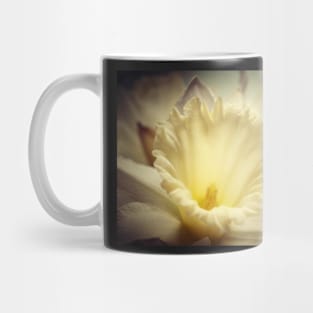 Glowing Daffodil Mug